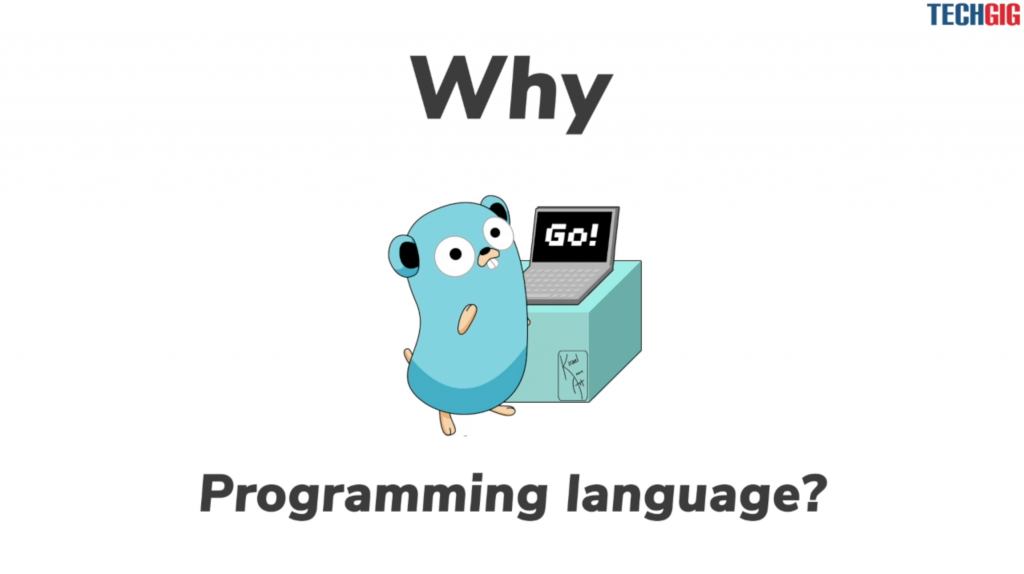 زبان برنامه نویسی Go