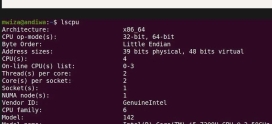 آموزش دستور lscpu برای نمایش اطلاعات CPU در لینوکس