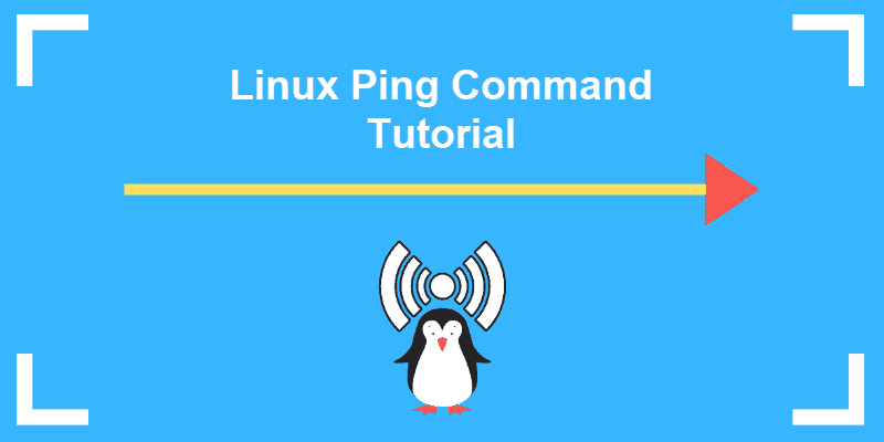 linux-ping-command-tutorial-2