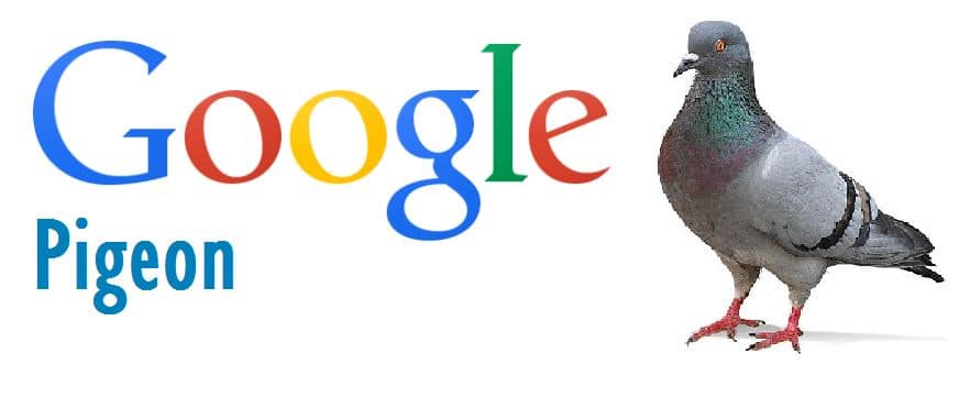 Google-Pigeon-Mise-à-jour-de-lalgorithme-SEO