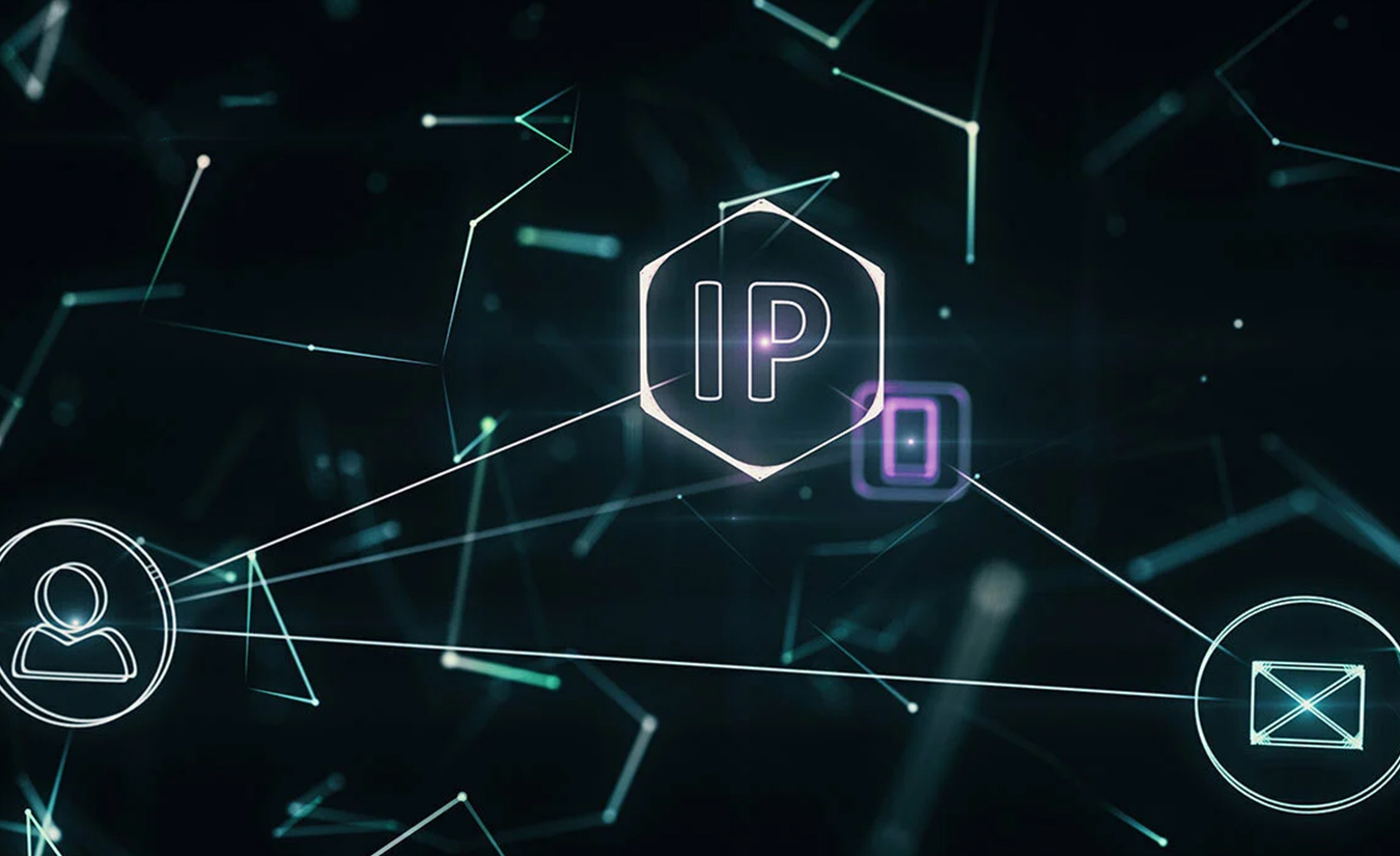 انواع IP